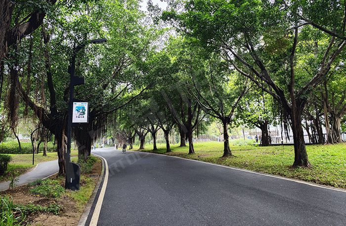 雷竞技在哪里下载手机
